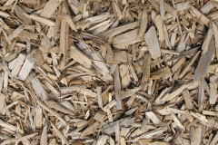 biomass boilers Burgois
