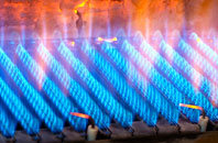 Burgois gas fired boilers