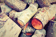 Burgois wood burning boiler costs